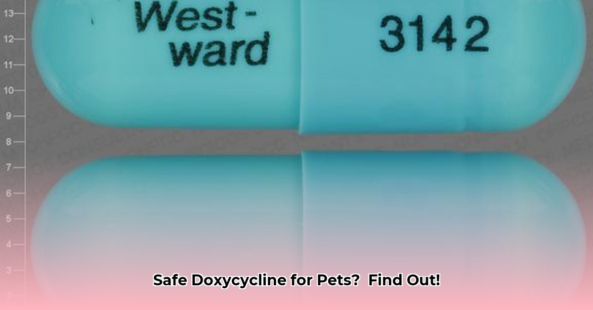 doxycycline-tractor-supply